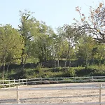 Allegra Fattoria Malchina