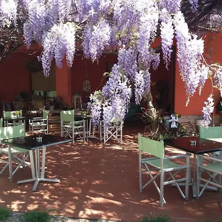 Allegra Fattoria Malchina