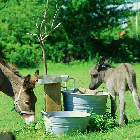 Allegra Fattoria Locanda 2*