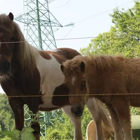 Allegra Fattoria Inn