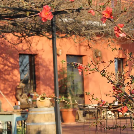 Allegra Fattoria Malchina