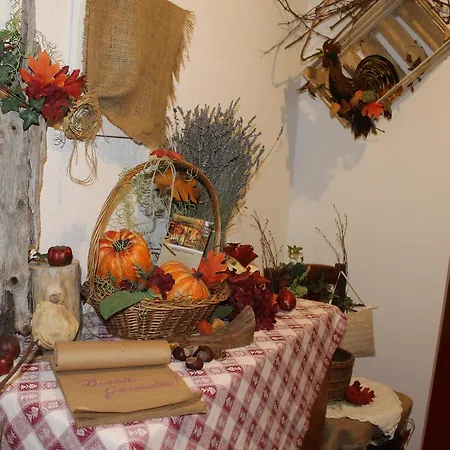 Allegra Fattoria Inn Malchina