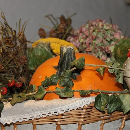 Allegra Fattoria Malchina