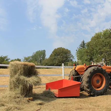 Allegra Fattoria 2* Malchina