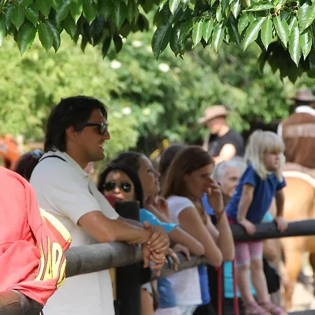 Locanda Allegra Fattoria Malchina