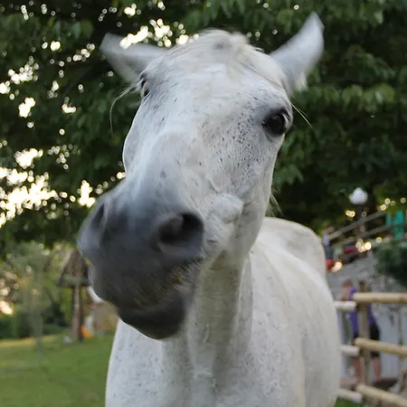 Allegra Fattoria 2* Malchina