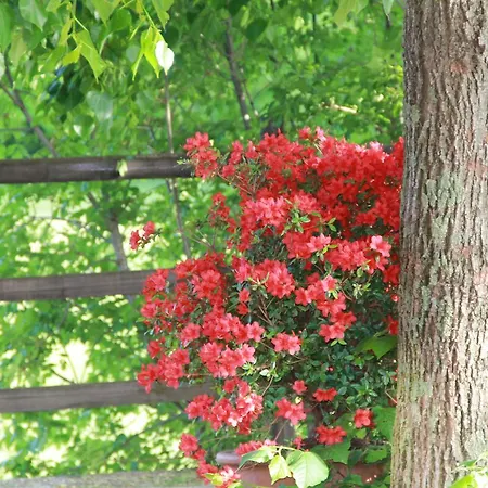 Locanda Allegra Fattoria 2*