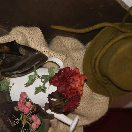 Inn Allegra Fattoria 2*