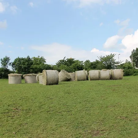 Locanda Allegra Fattoria Malchina