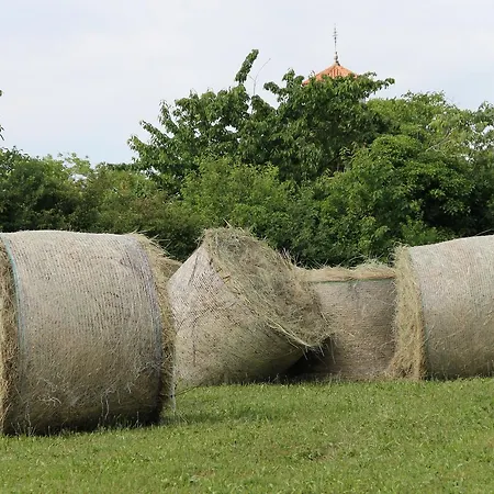 Allegra Fattoria Locanda