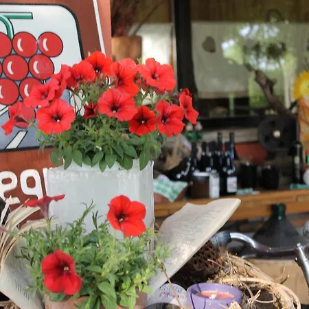 Allegra Fattoria Locanda