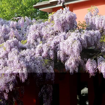 Allegra Fattoria Locanda Malchina