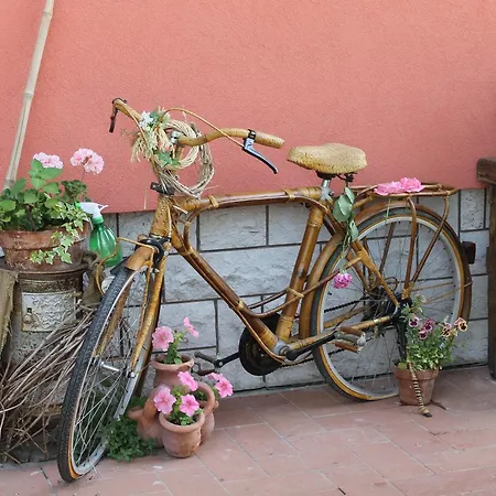 Allegra Fattoria 2* Malchina