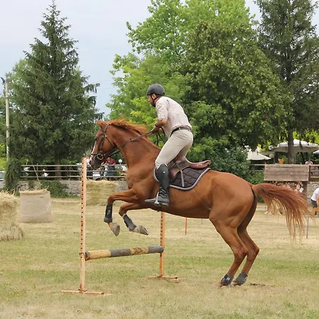 Locanda Allegra Fattoria Malchina