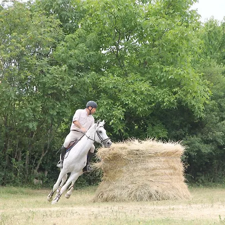 Allegra Fattoria Inn