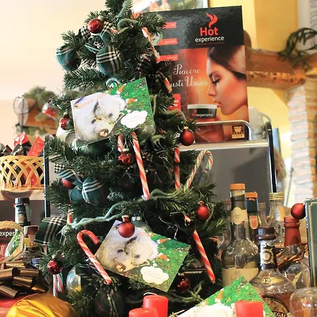 Allegra Fattoria 2* Malchina