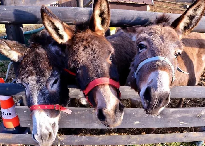 Allegra Fattoria Πανδοχείο 2*