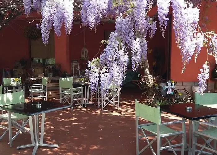 Allegra Fattoria Malchina