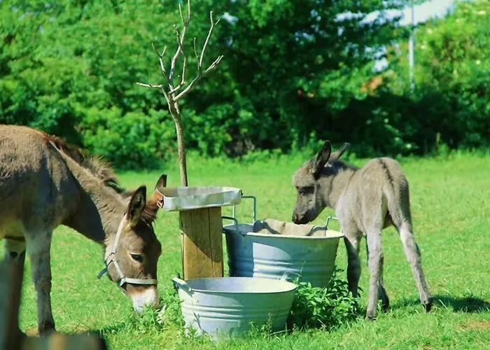 Allegra Fattoria Πανδοχείο 2*