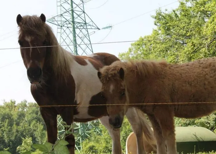 Allegra Fattoria Πανδοχείο
