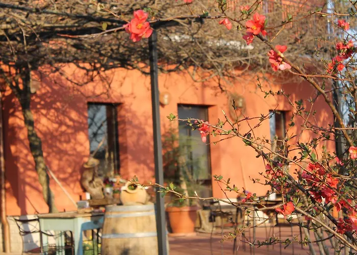 Allegra Fattoria Malchina