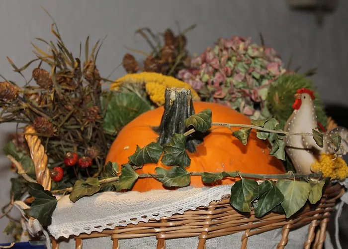 Allegra Fattoria Malchina