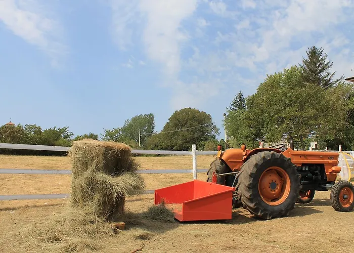 Allegra Fattoria 2* Malchina