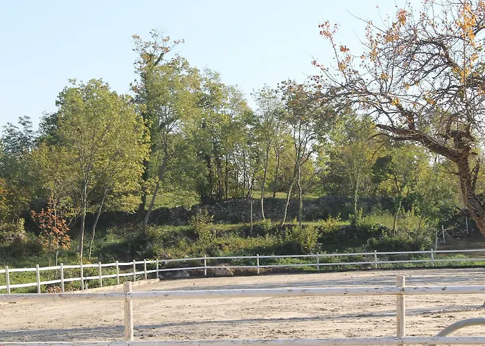 Allegra Fattoria Malchina