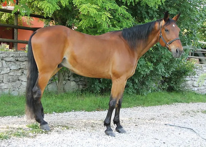 Allegra Fattoria Πανδοχείο 2*