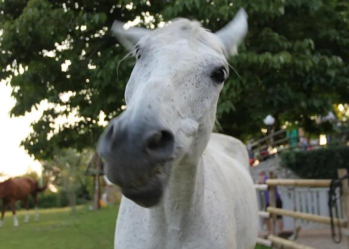 Allegra Fattoria 2* Malchina