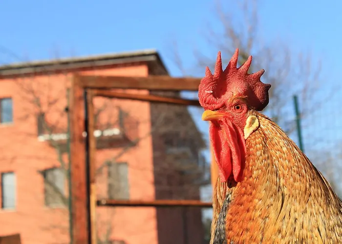 Allegra Fattoria Πανδοχείο 2*