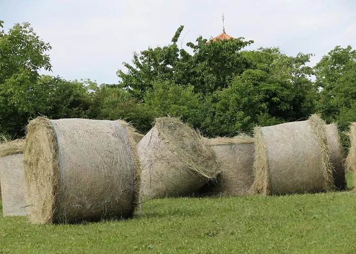 Allegra Fattoria Πανδοχείο