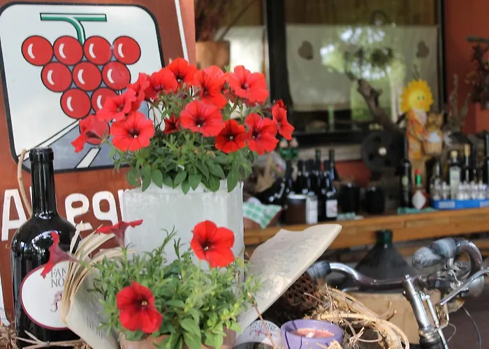 Allegra Fattoria Πανδοχείο