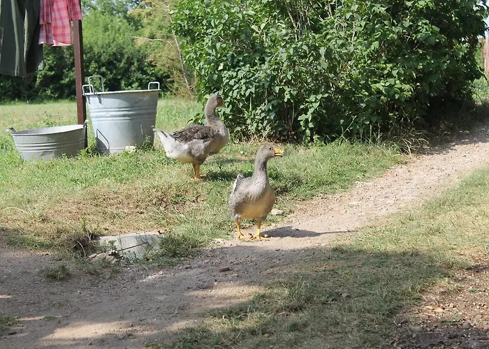 Allegra Fattoria Malchina