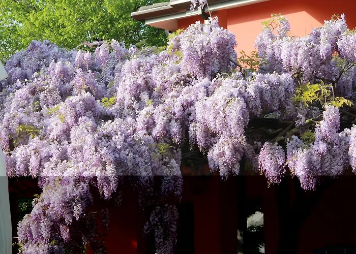 Allegra Fattoria Πανδοχείο Malchina