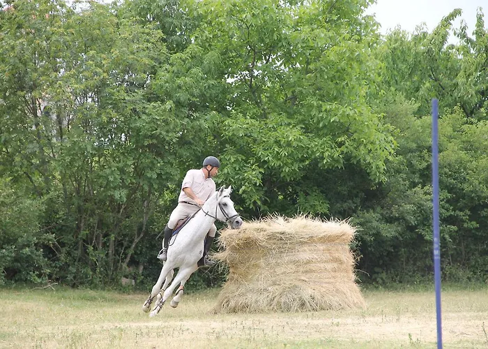 Allegra Fattoria Πανδοχείο